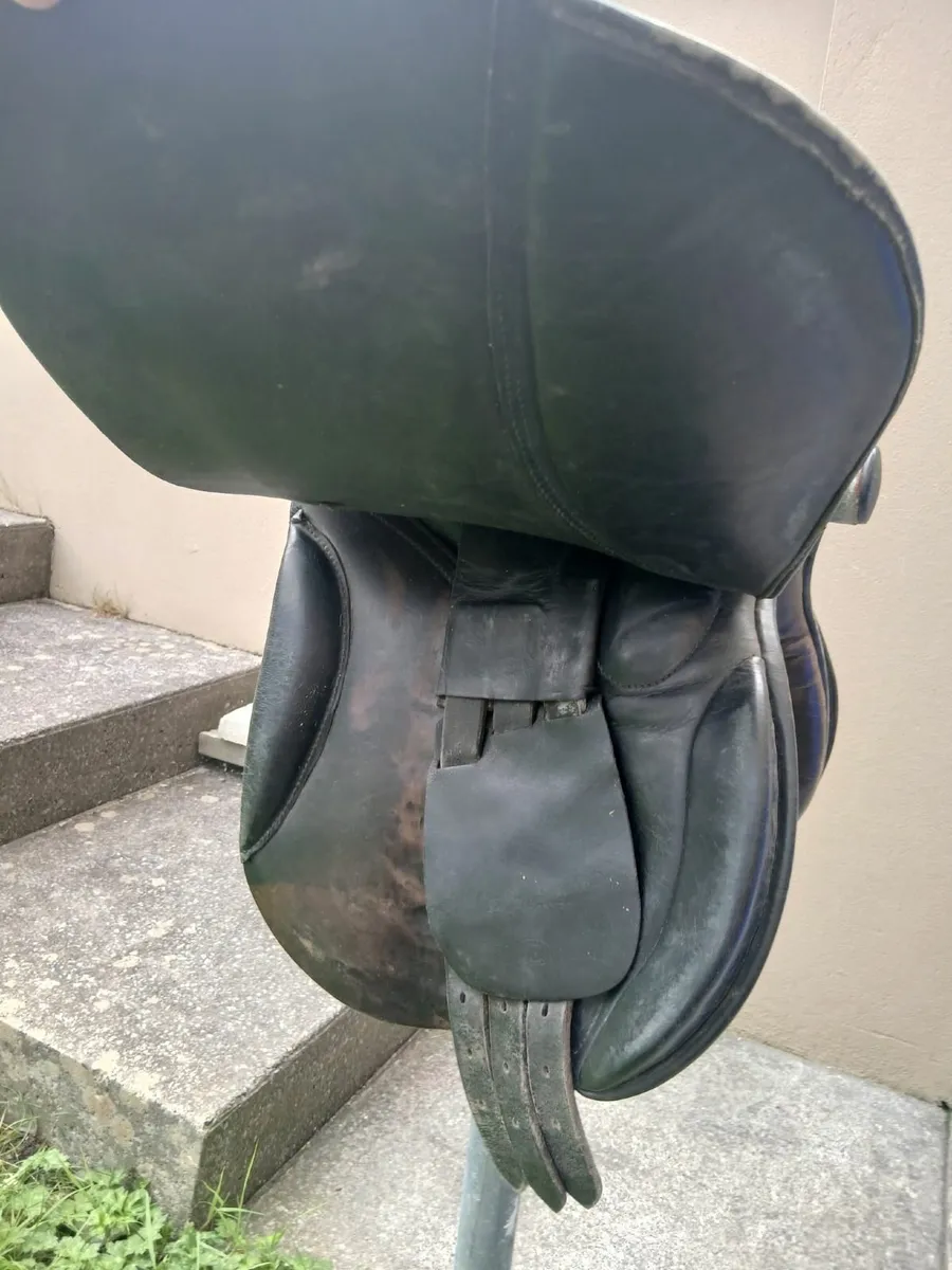 Saddle - Image 2