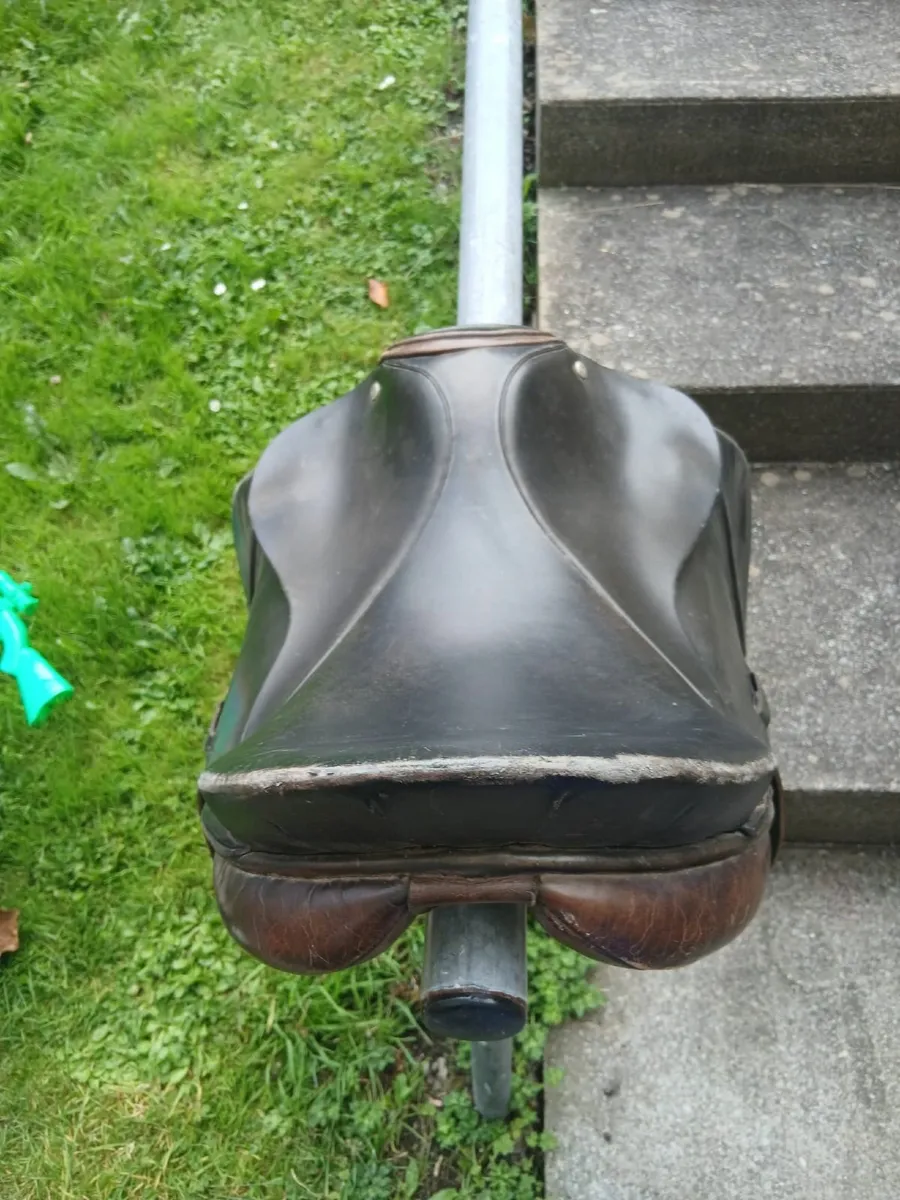 Saddle - Image 4