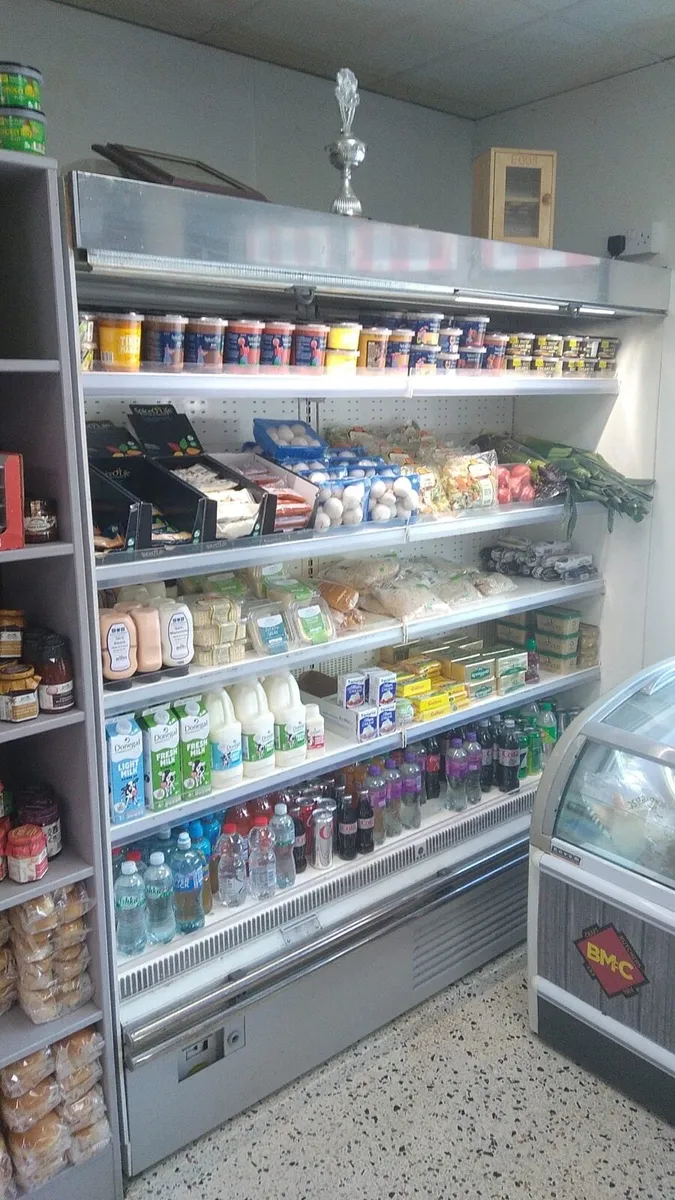 Dairy wall/Spider fridge - Image 1