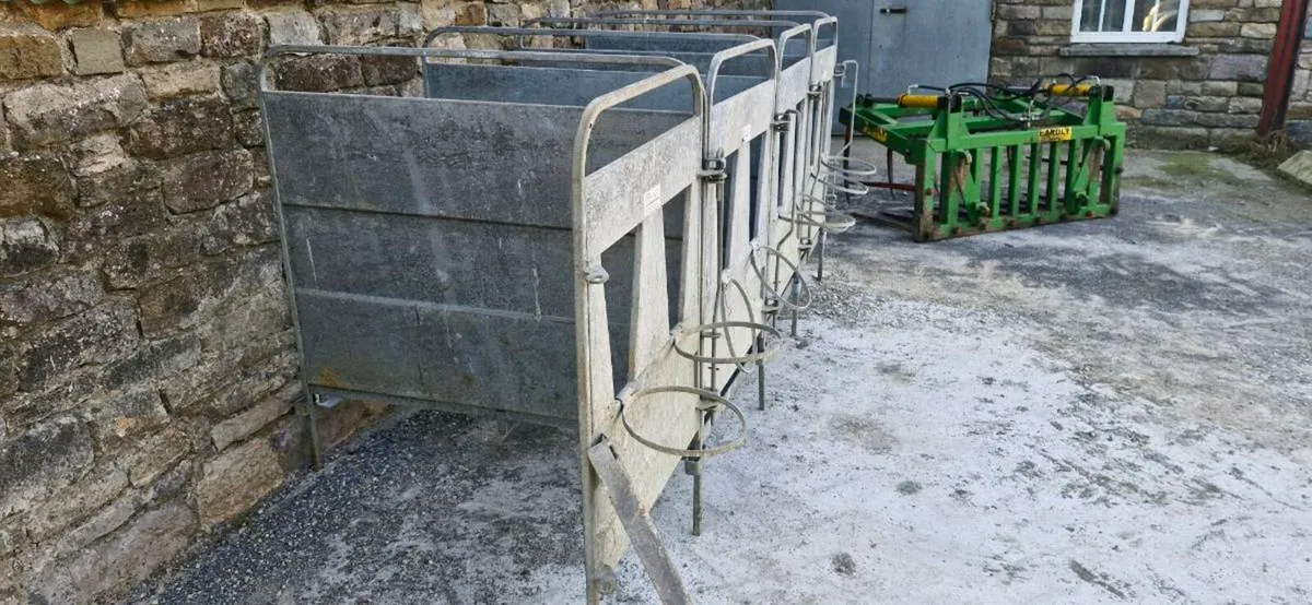 Calf Pens - Image 4