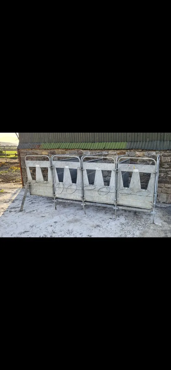 Calf Pens - Image 1