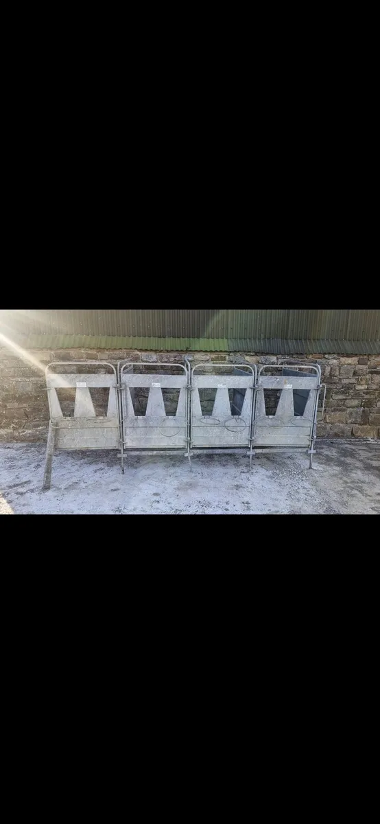 Calf Pens - Image 2