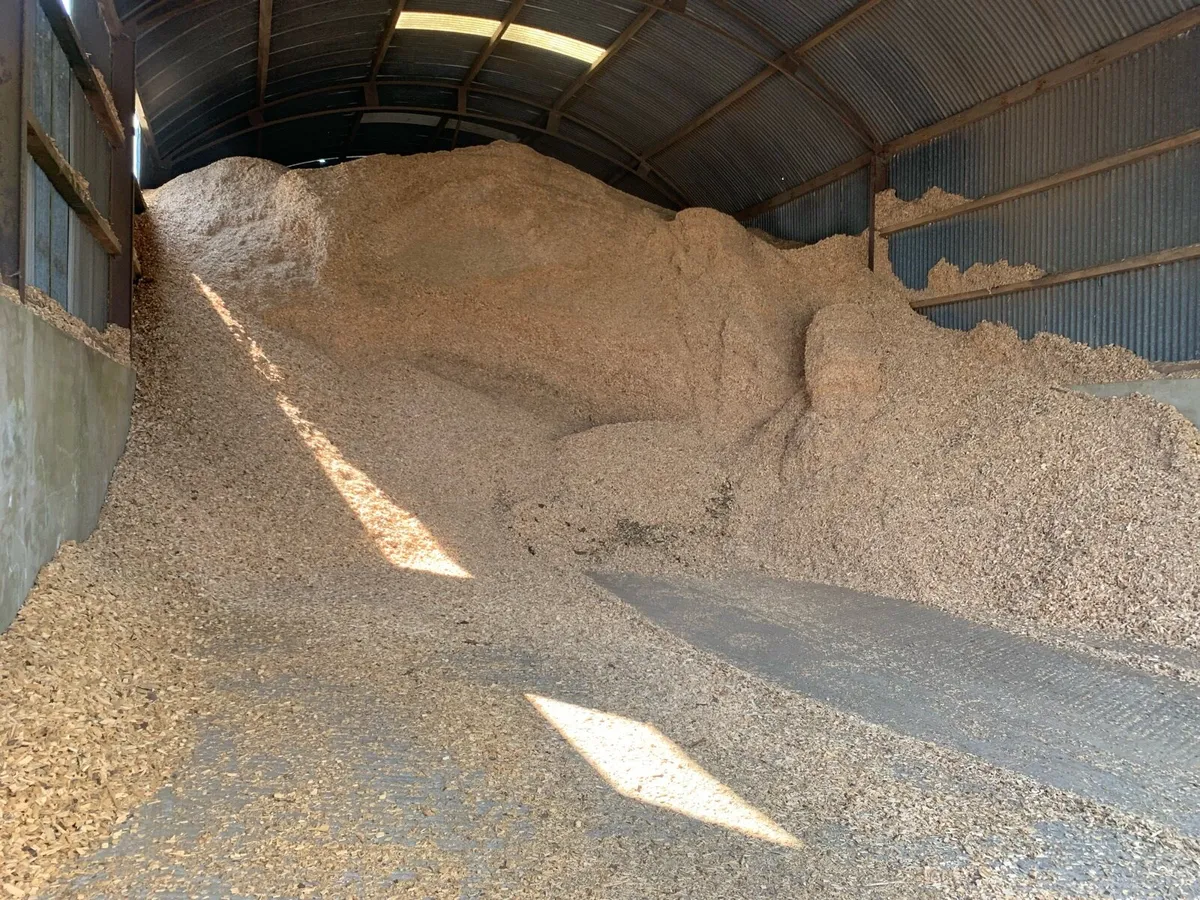 Quality Biomass Woodchip - Image 1