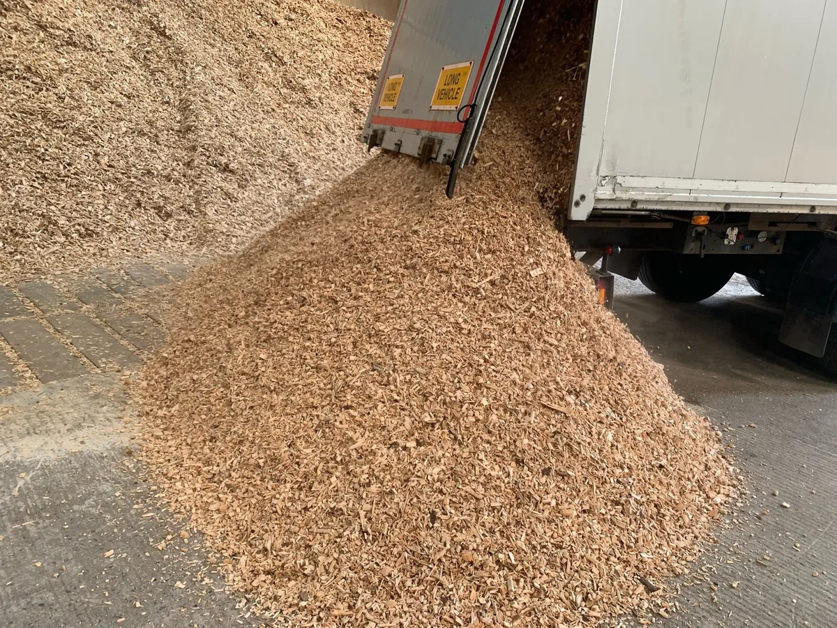 Quality Biomass Woodchip - Image 2