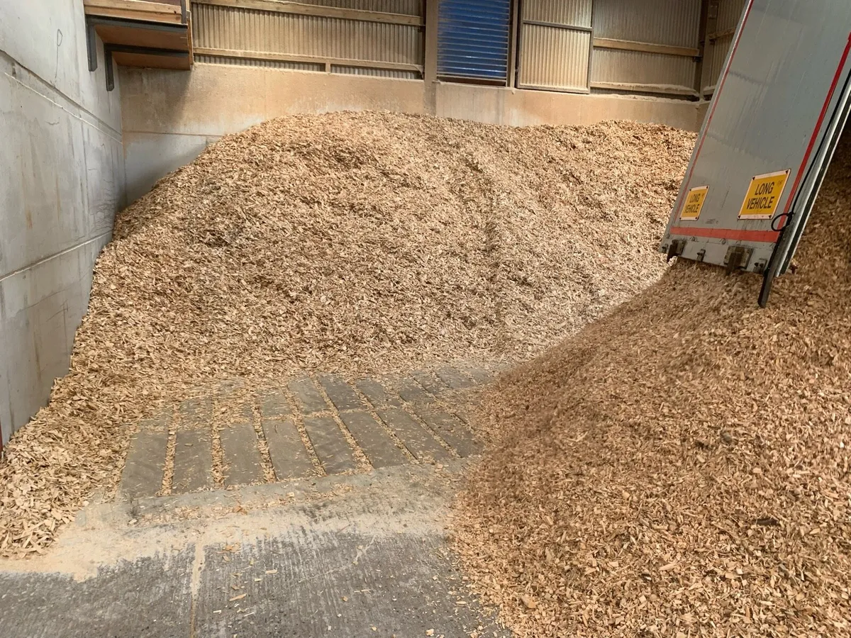 Quality Biomass Woodchip - Image 3