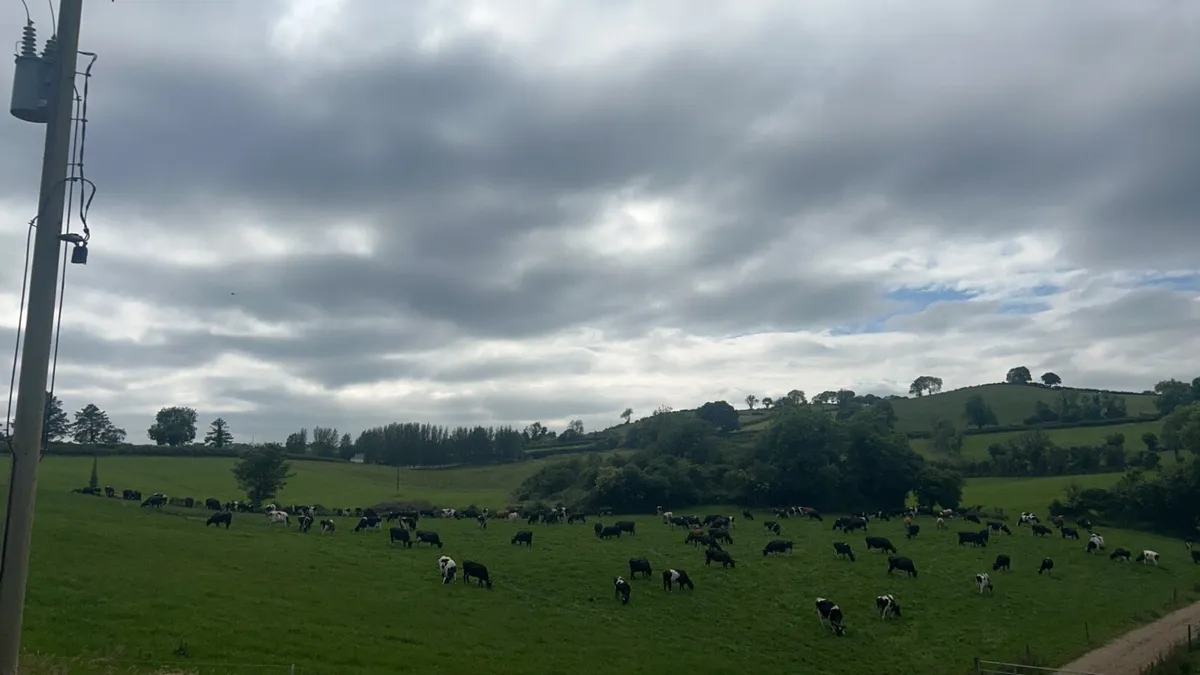 Relief Milker - Image 2