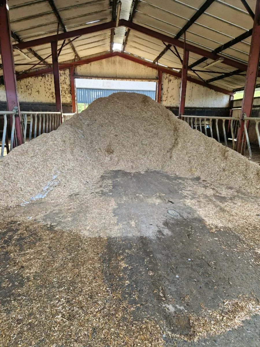 Horse bedding - Image 1