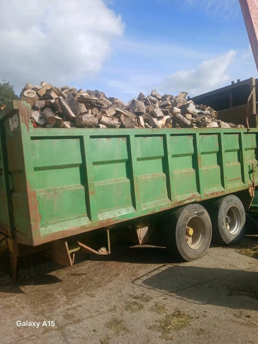 firewood load of hardwood split - Image 1
