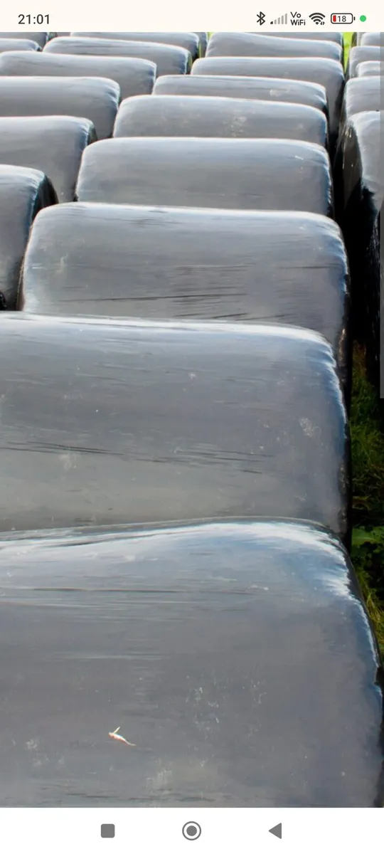 Silage bales
