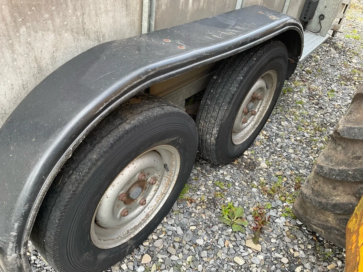 Nugent cattle trailer - Image 4