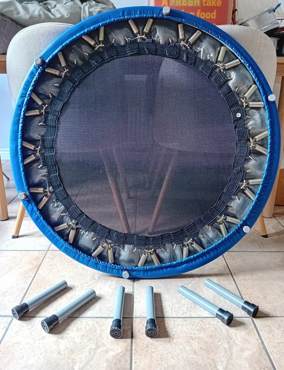 Pro Fitness Rebounder/Trampoline - Image 4
