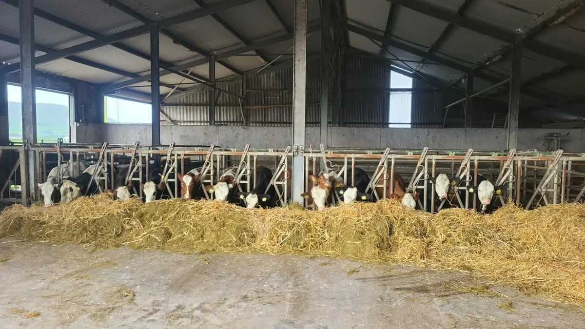 Farm sheds