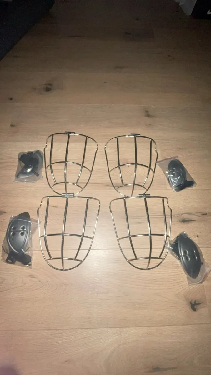 Kilkenny faceguard - Image 1