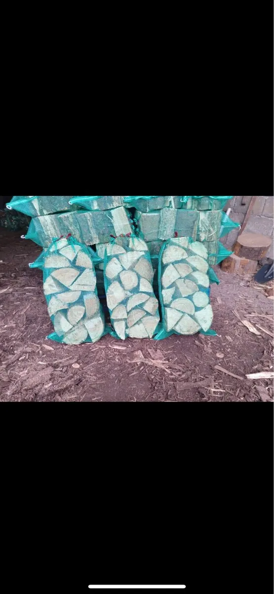 Firewood - Image 2