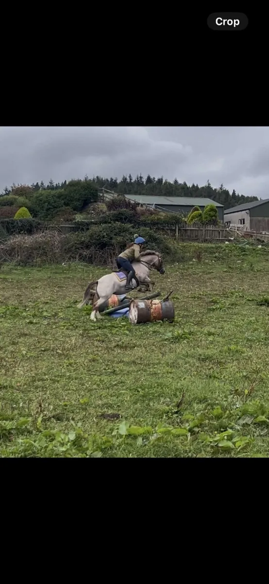 Smashing Pony - Image 4