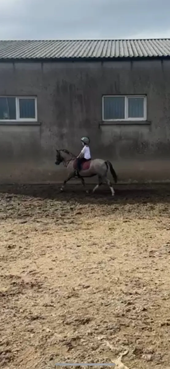 Smashing Pony - Image 1