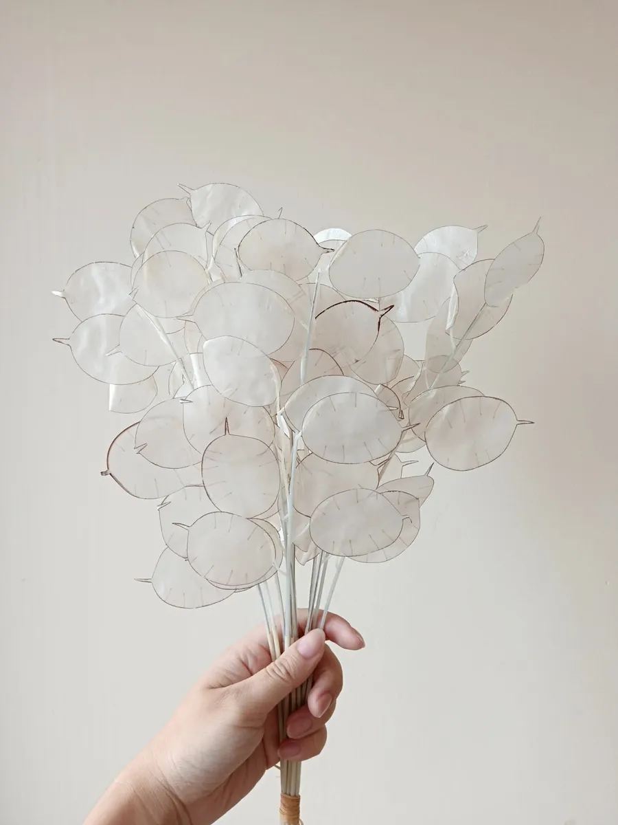 12pcs Artificial lunaria artificial flowers - Image 1