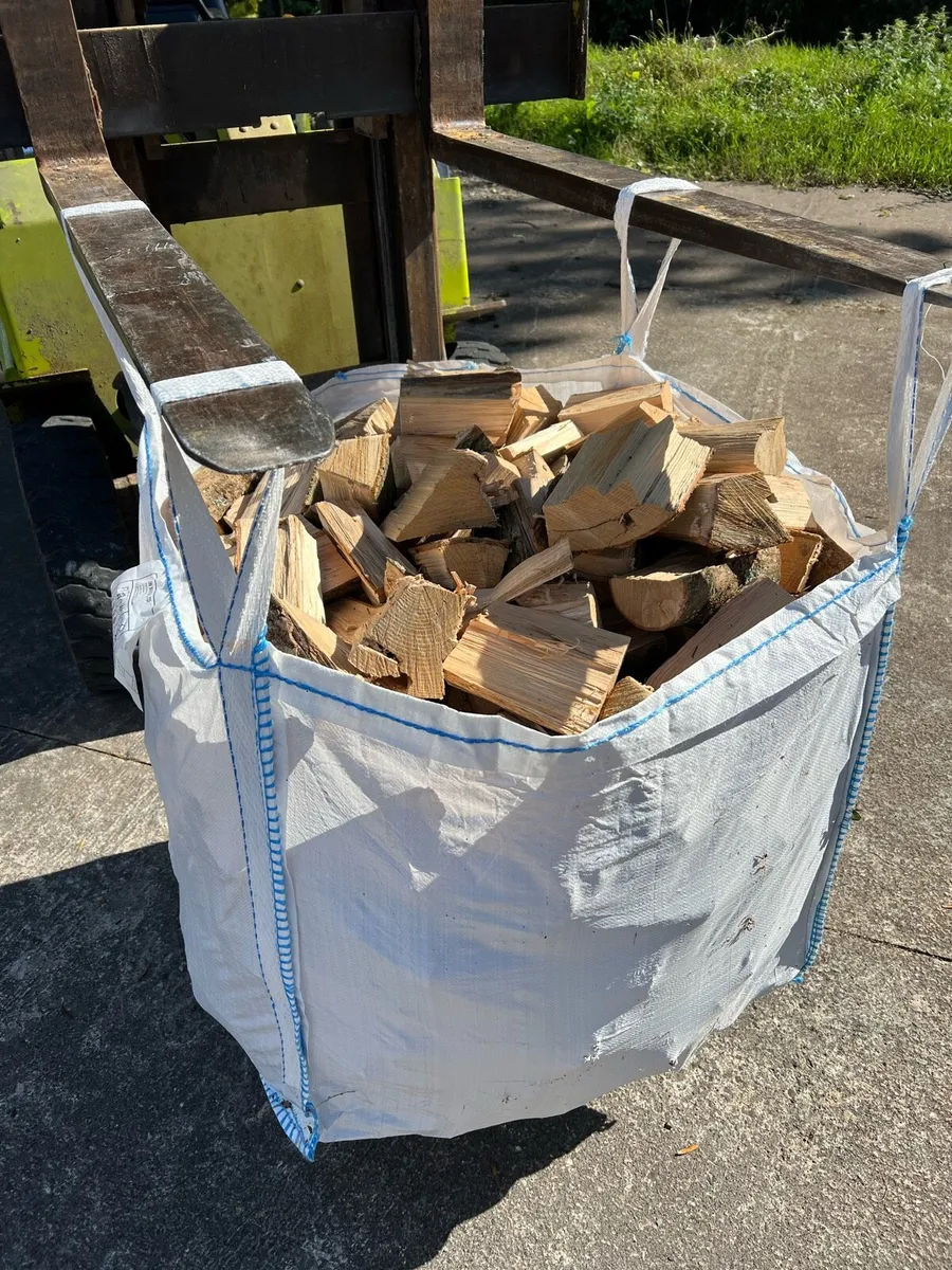 Hardwood logs - Image 1
