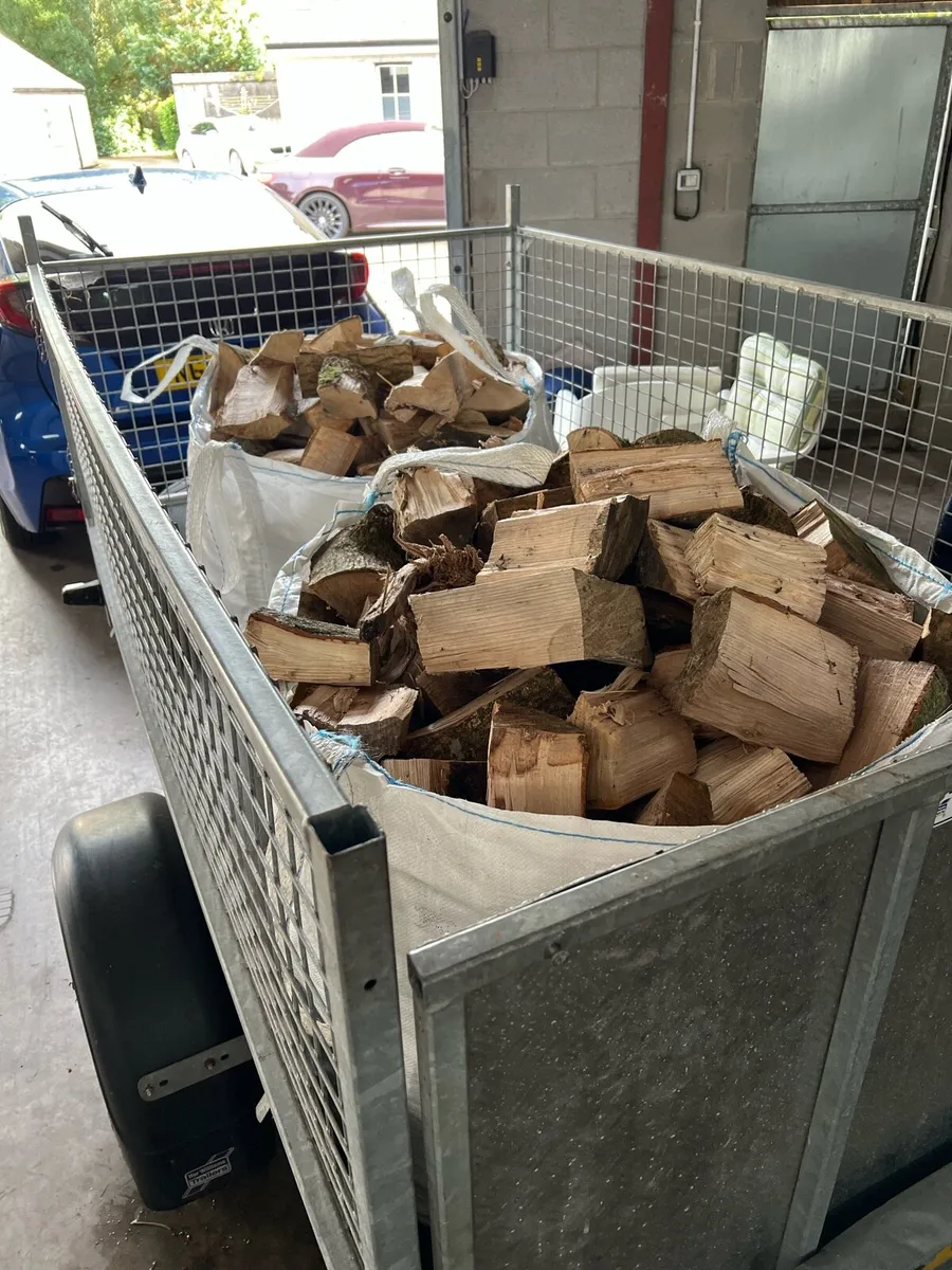 Hardwood logs - Image 2