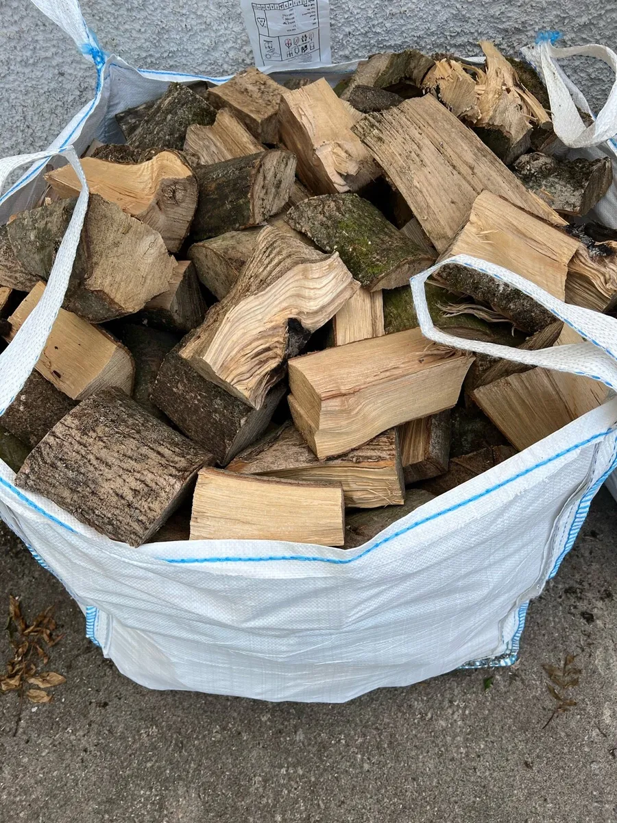 Hardwood logs - Image 3