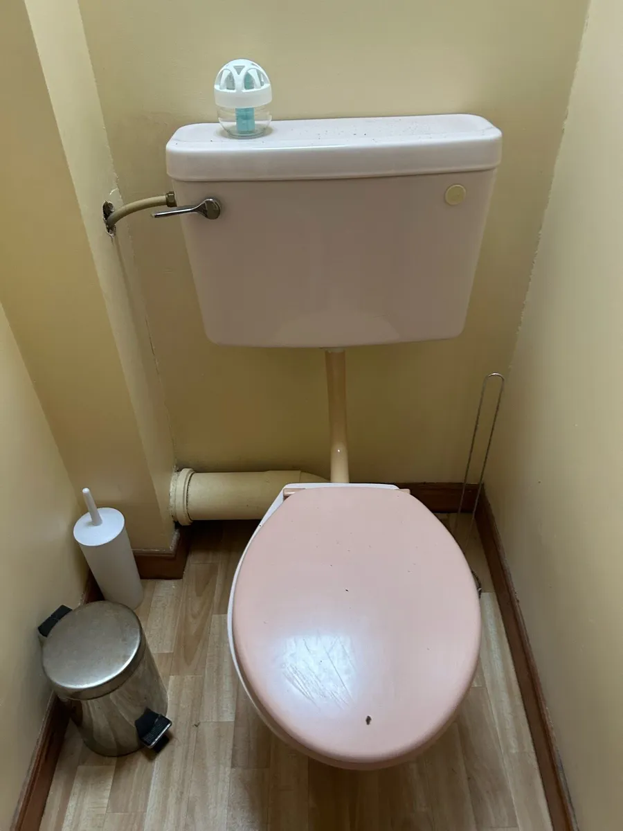 Pink Bathroom Pieces - Toilets, Sinks, Bath - Image 4
