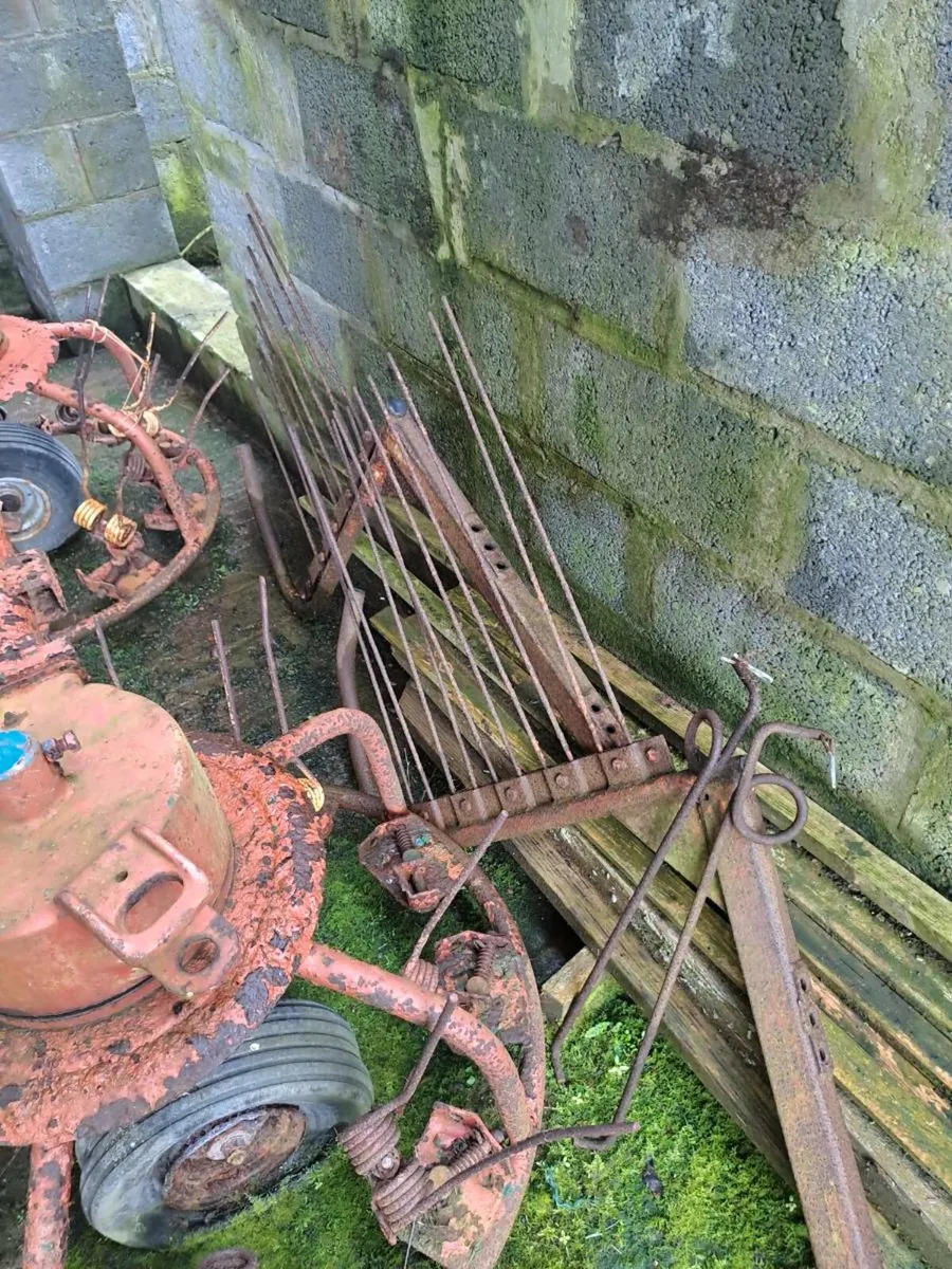 Shed clearout - Image 1