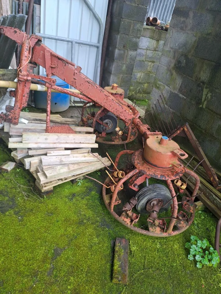 Shed clearout - Image 2