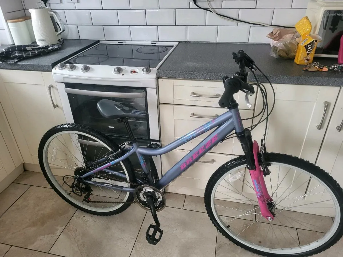 Bike - Image 1