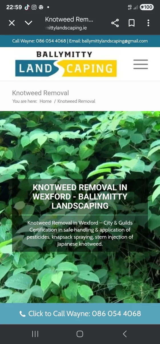 Japanese Knotweed Treament - Image 1