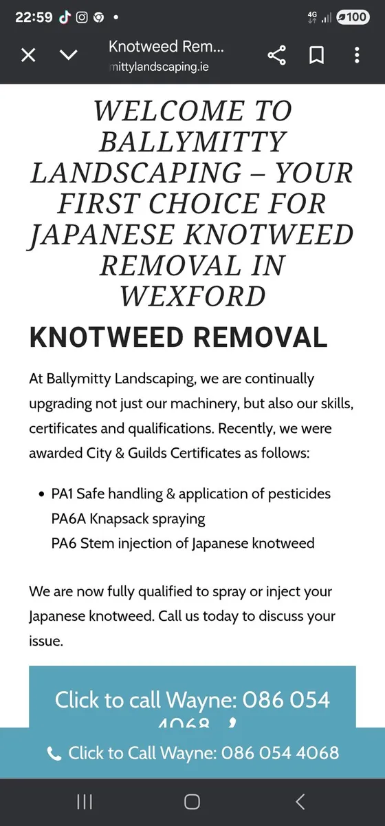 Japanese Knotweed Treament - Image 2