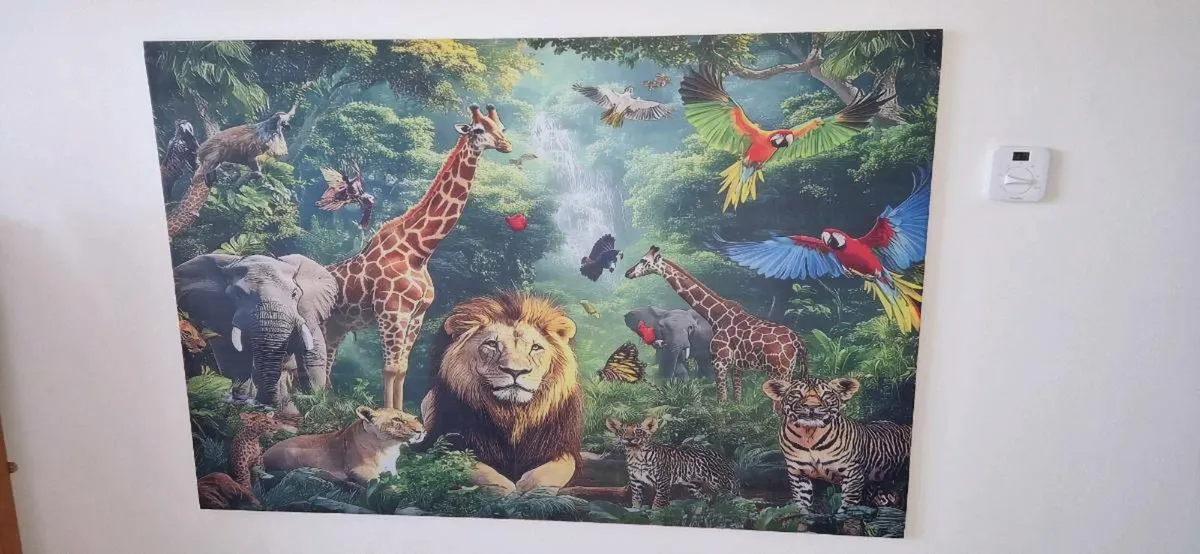 Canvas - Image 4