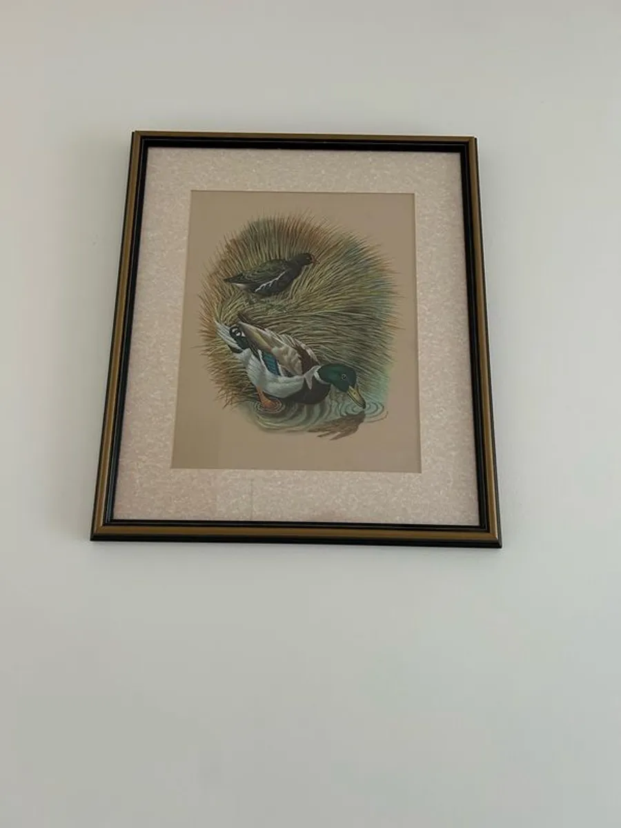 Pair of watercolour pictures of birds - Image 1