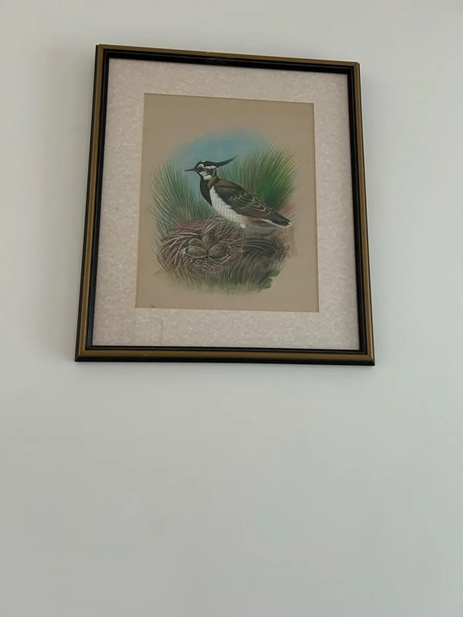 Pair of watercolour pictures of birds - Image 2