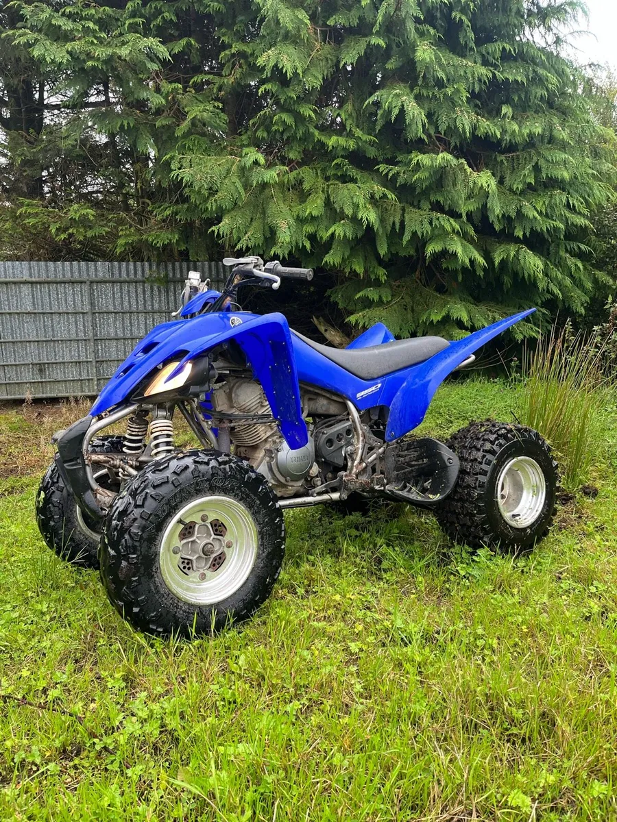 Yamaha Raptor 350 - Image 1