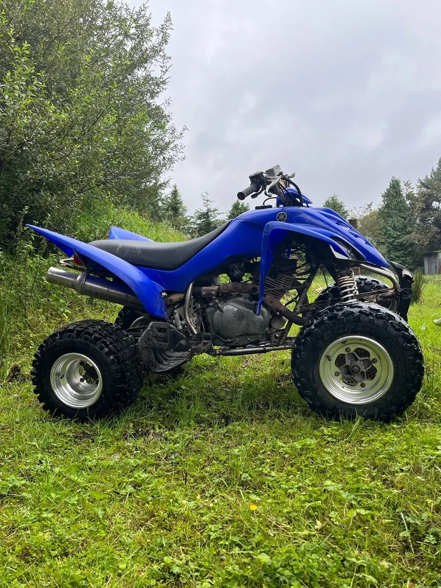 Yamaha Raptor 350 - Image 2