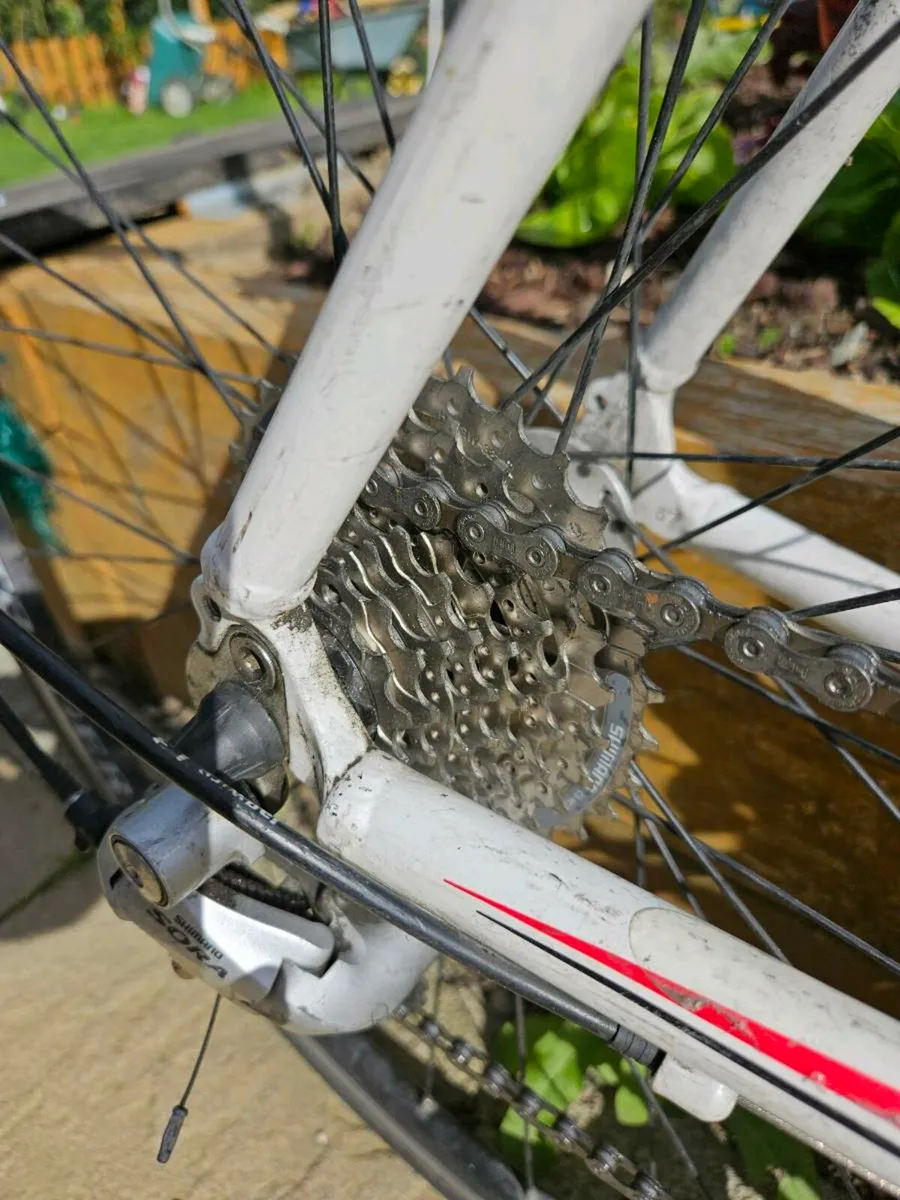 Trek 58cm frame Road bike - Image 2