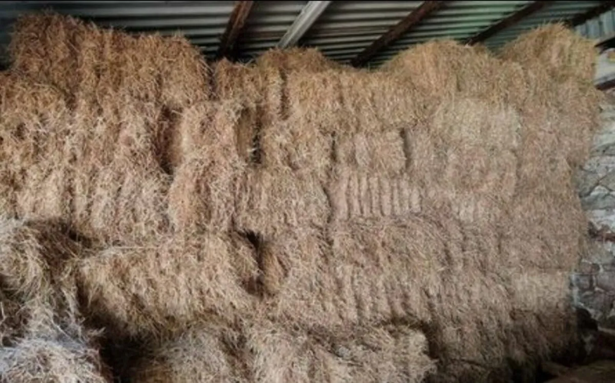 Small Square Hay Bales - Fresh & Great Quality