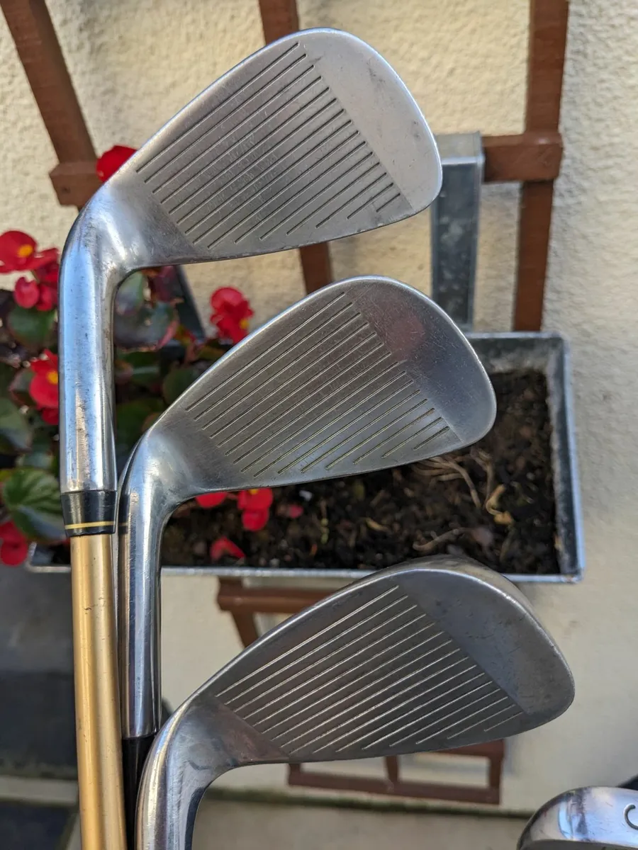 Complete Set of Lynx Irons and Golf Bag - Image 4