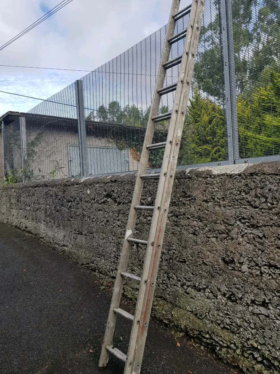 20ft ladder