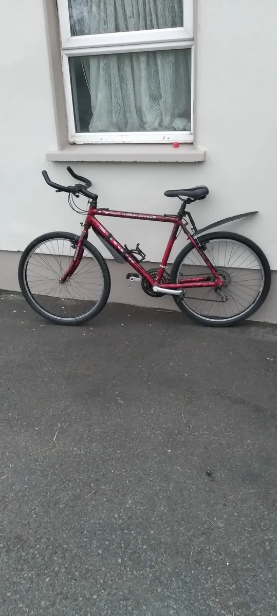 All bikes for sale 40e each no time wasters - Image 1