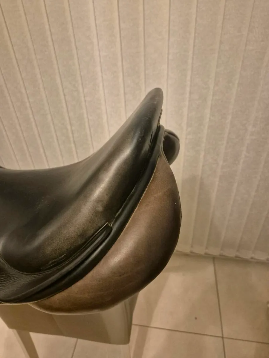 Berney 17" international jumping saddle - Image 4