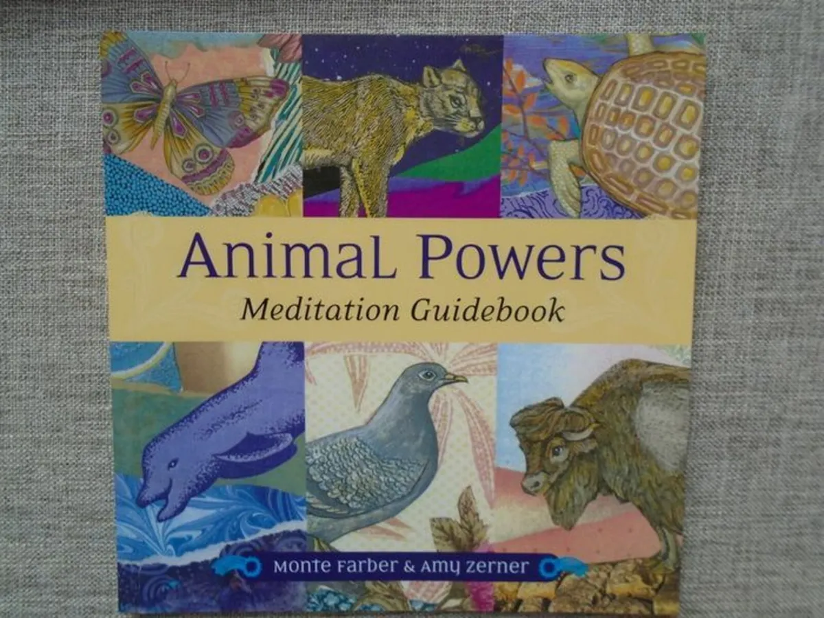 Animal Power meditation kit, Cards, Book, CD - Image 3