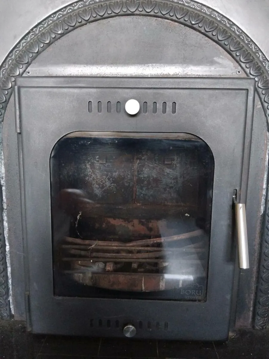 Fireplace door and surround - Image 1