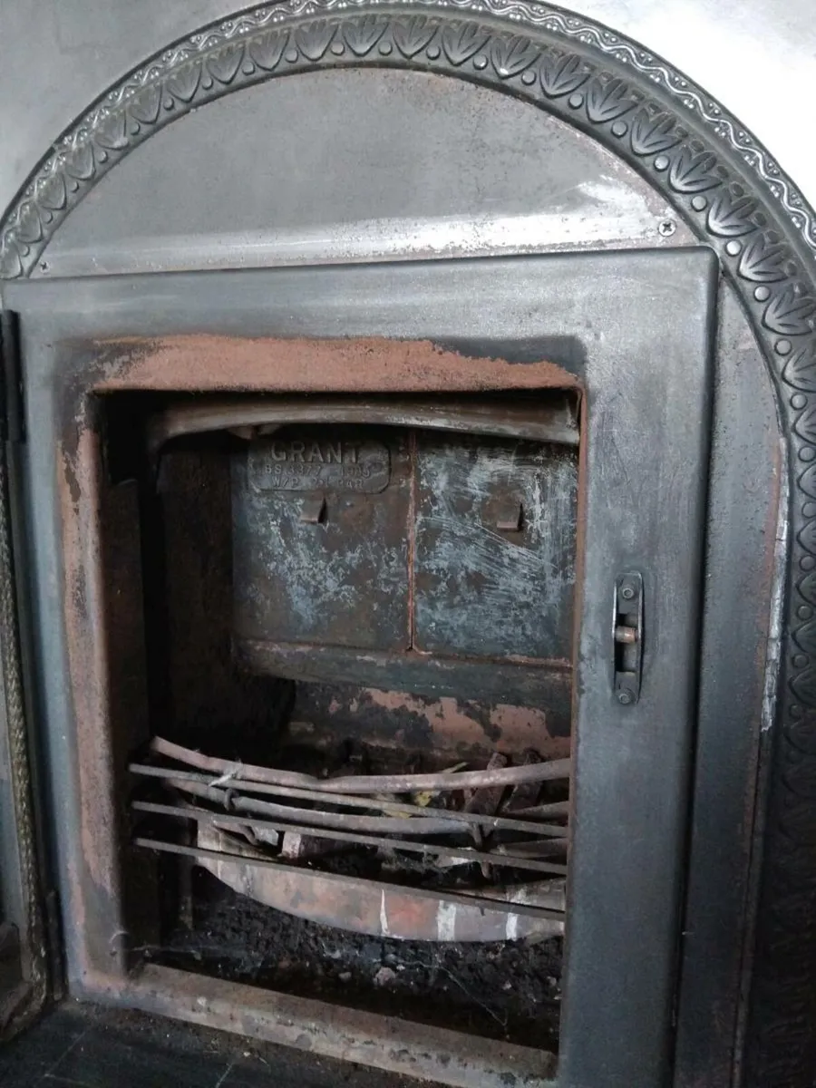 Fireplace door and surround - Image 3