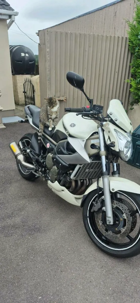Yamaha xj6 - Image 2