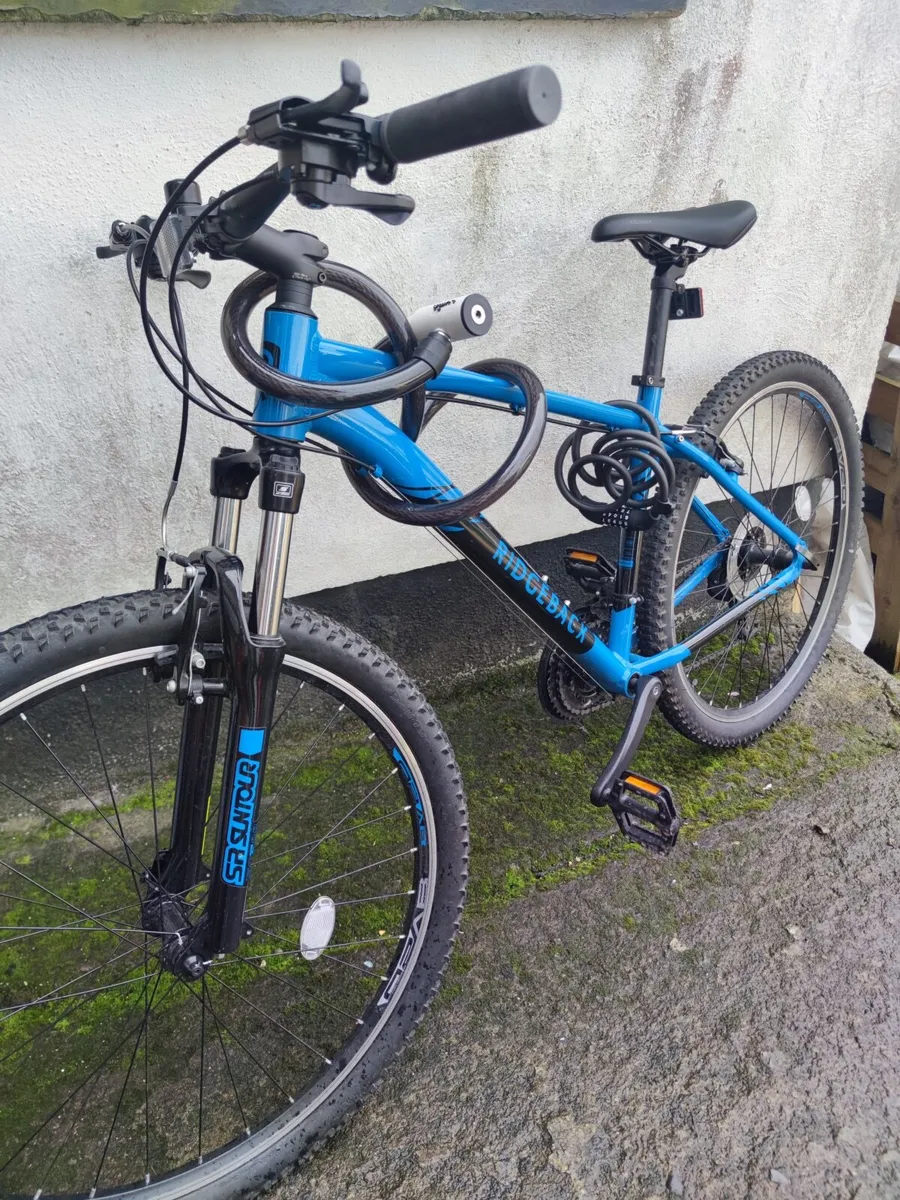 Bike - Image 1