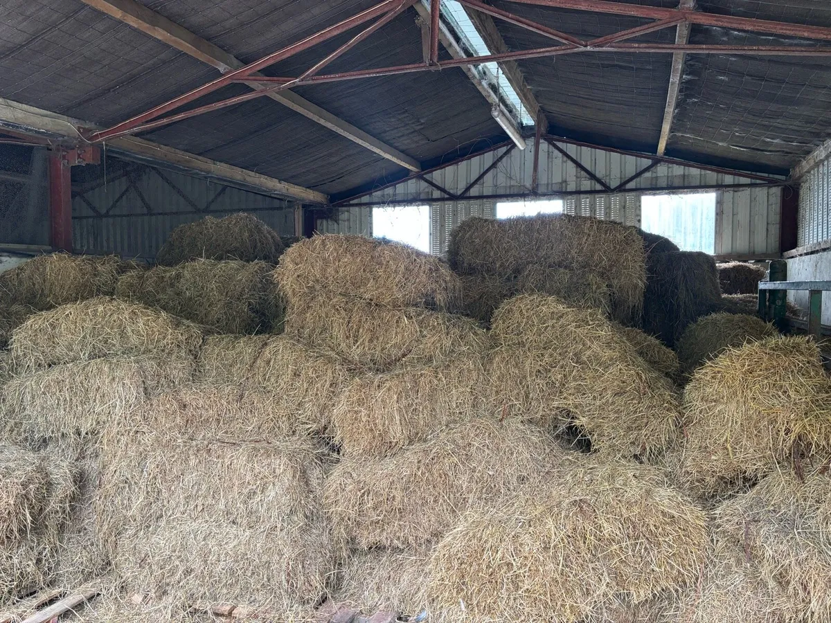 Hay - small square bales €3.50 - Image 1