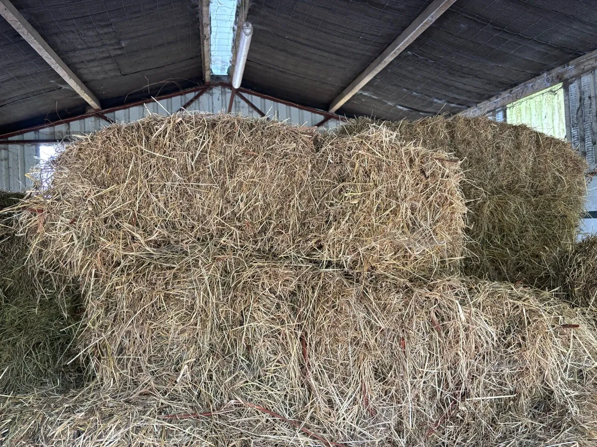 Hay - small square bales €3.50 - Image 2
