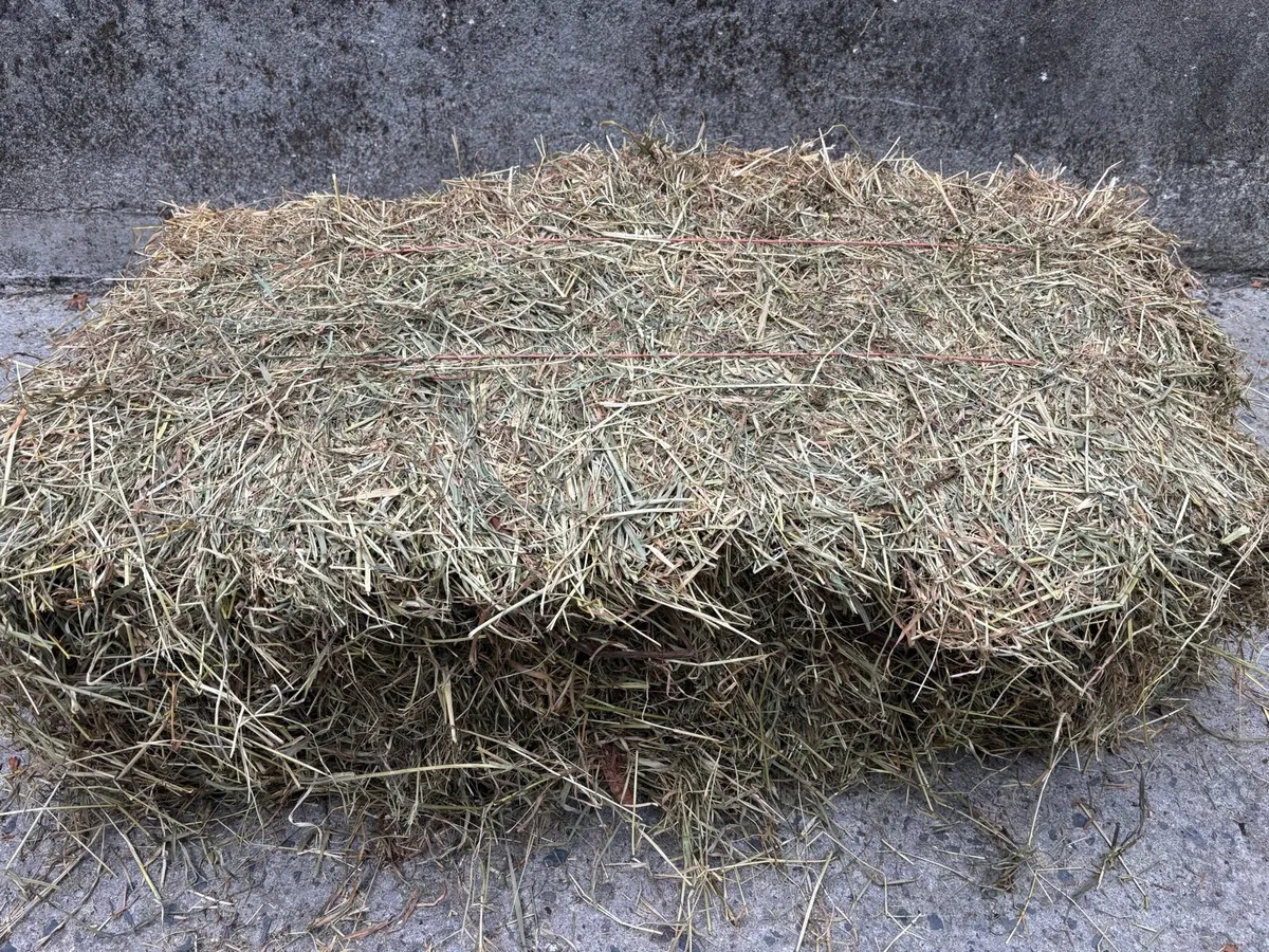 Hay - small square bales €3.50 - Image 3