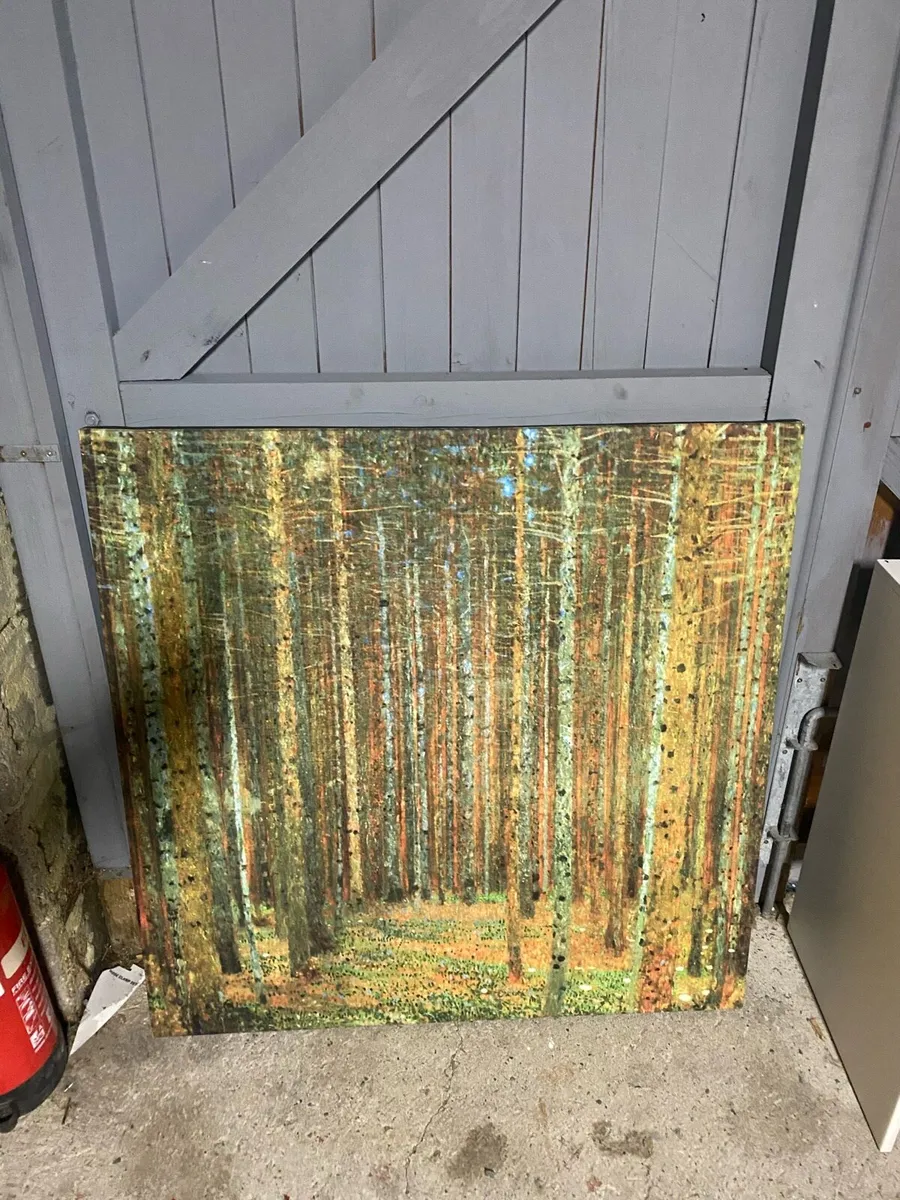 Forest picture - Image 1